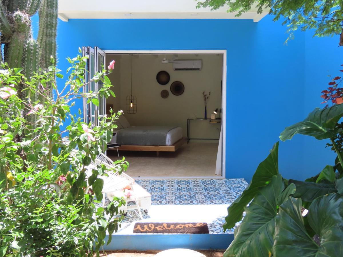 Naima Luxury Home, Cottage & Apartment Rentals Paradera Dış mekan fotoğraf