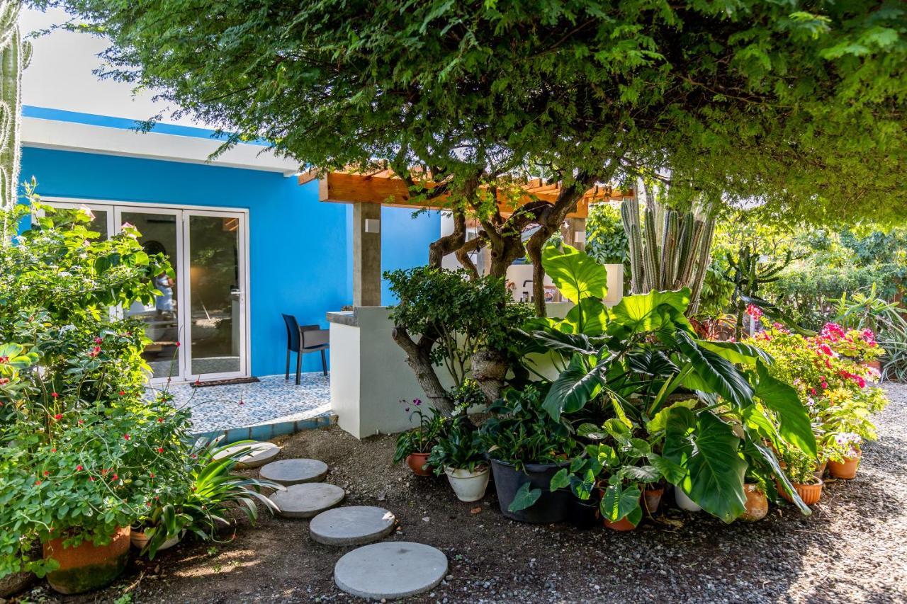 Naima Luxury Home, Cottage & Apartment Rentals Paradera Dış mekan fotoğraf